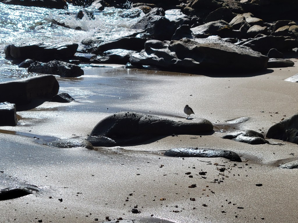 Developing Emotional Balance – “Glimmers”